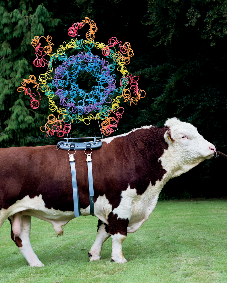 Art's Work in the Age of Biotechnology: Shaping Our Genetic Futures