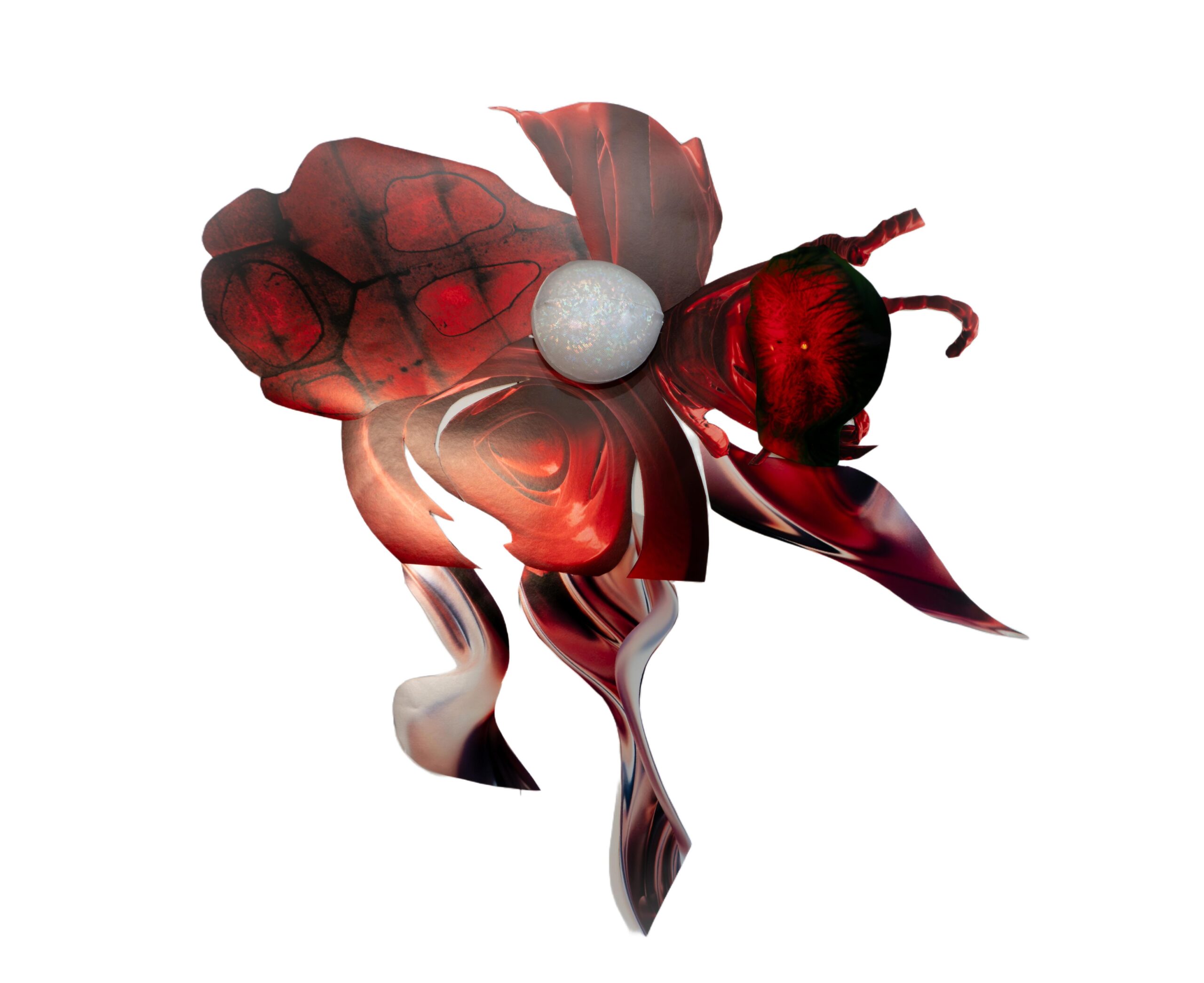 Bio evolution photographic collage