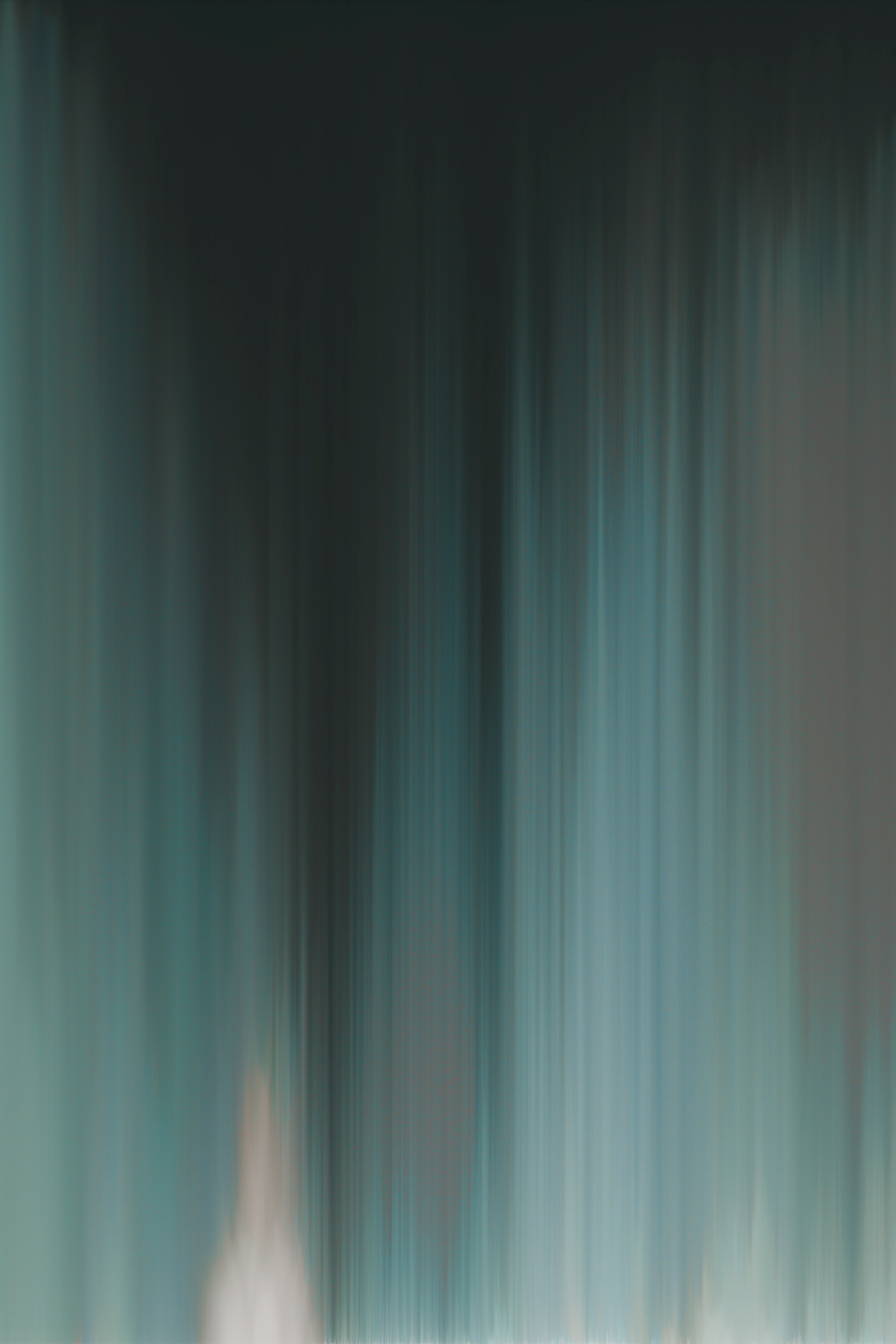 Chlorociboria aeruginascens - New York