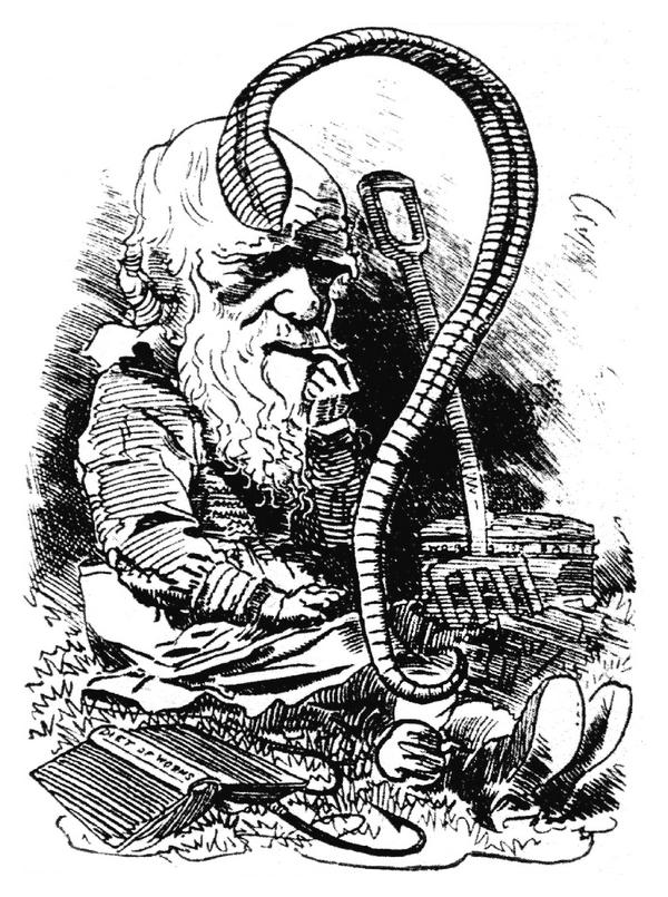 Darwin's worms