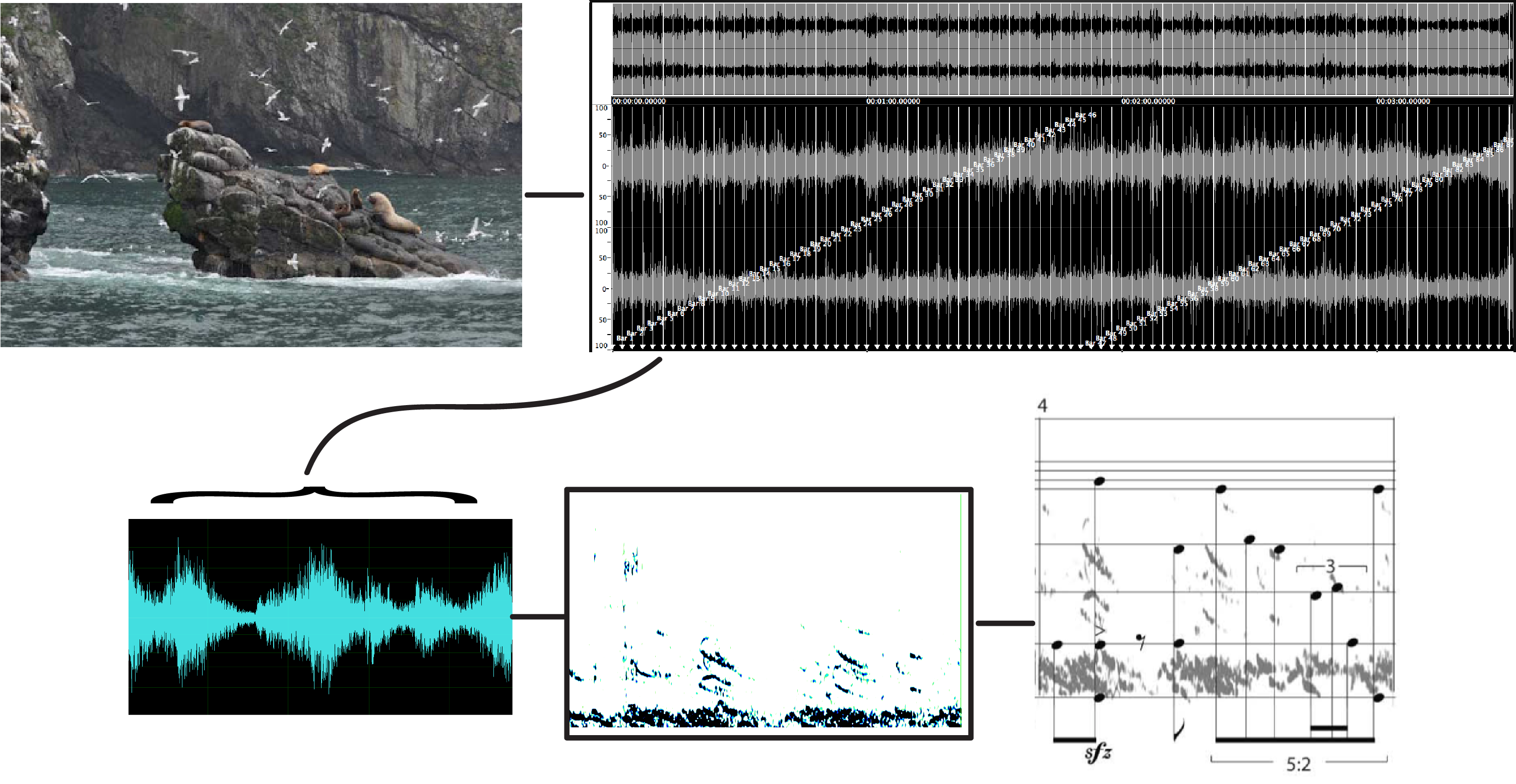 EcoTones Gulls Sonification