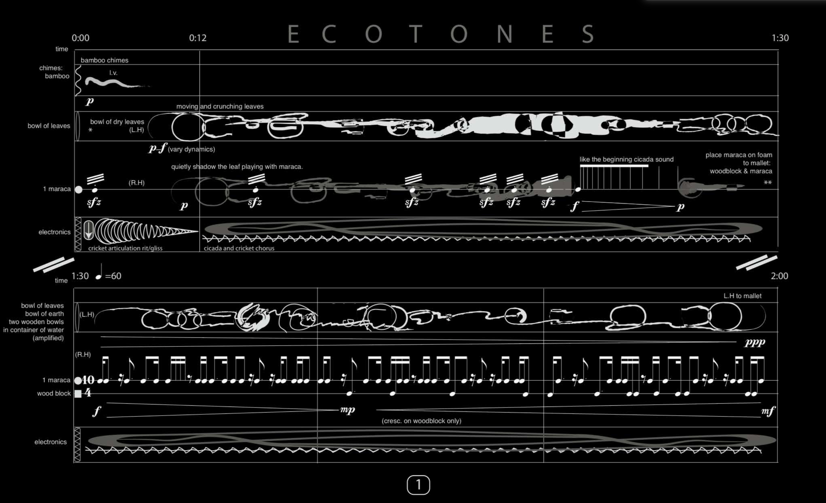 EcoTones Gulls Sonification