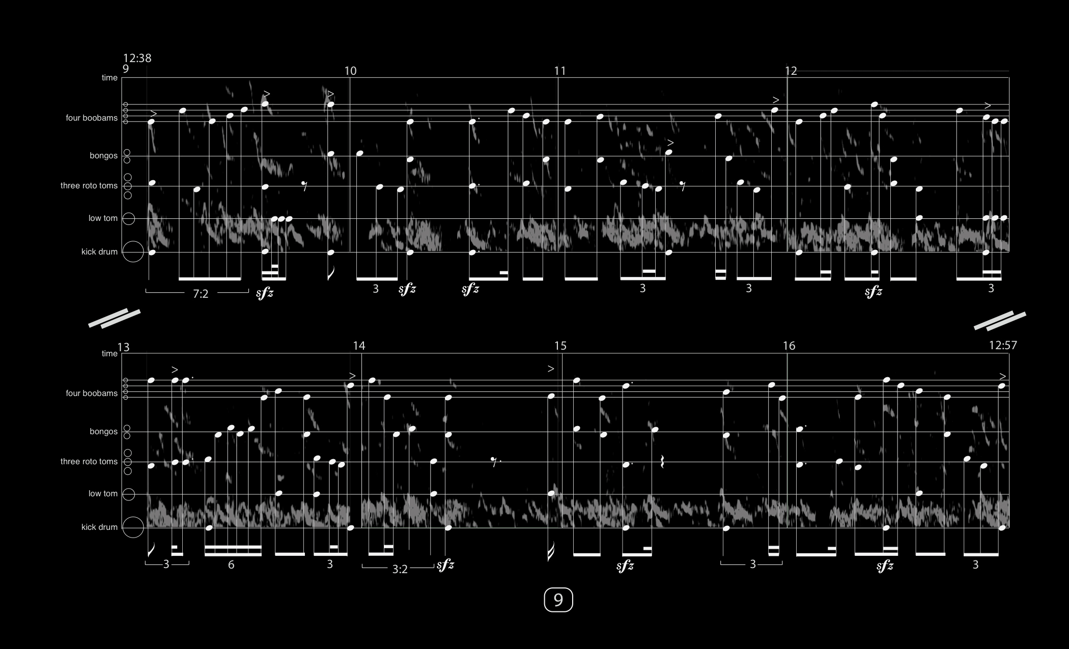 EcoTones Gulls Sonification