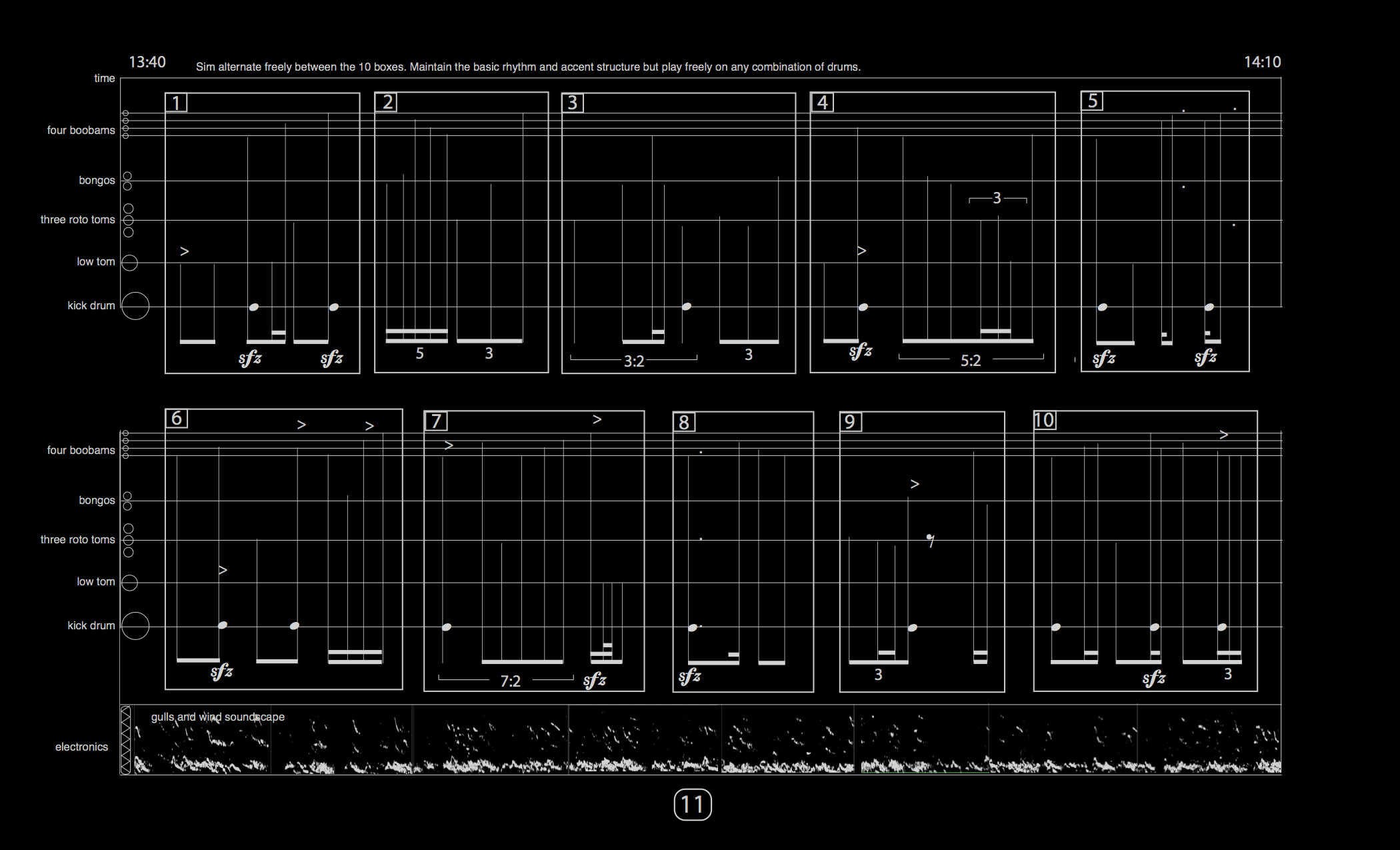 EcoTones Gulls Sonification
