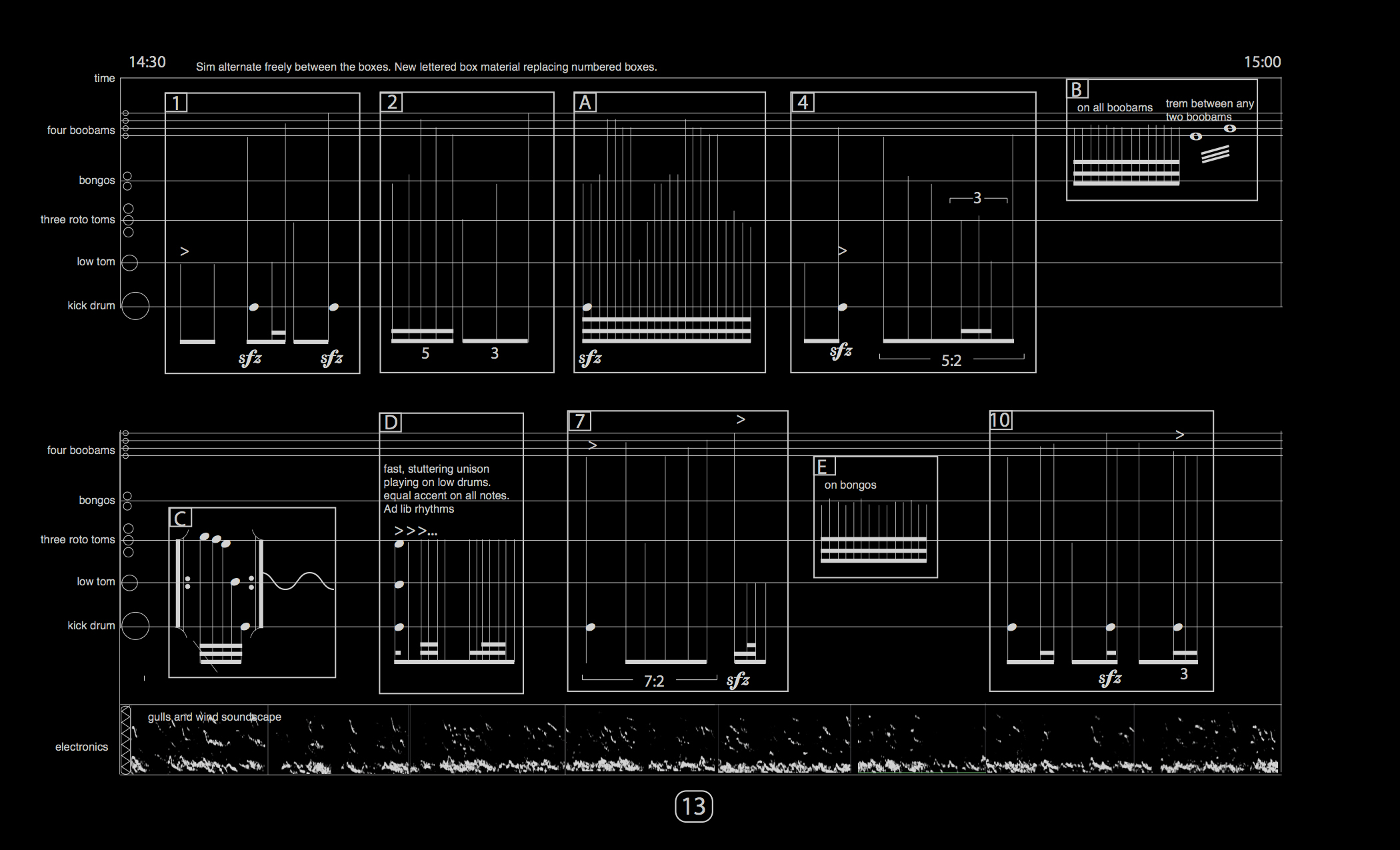 EcoTones Gulls Sonification