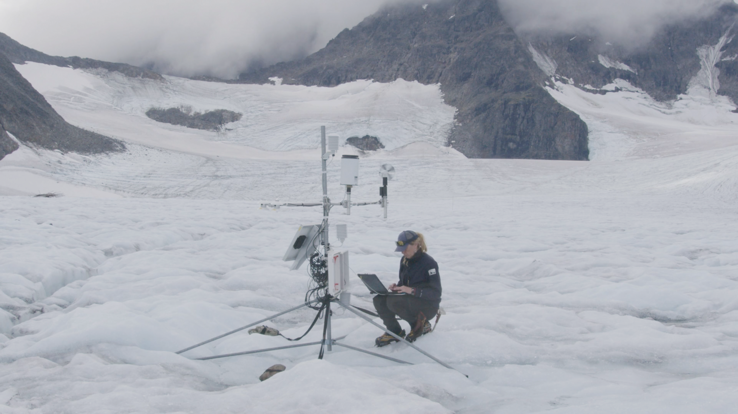 Flowers of the Glacier