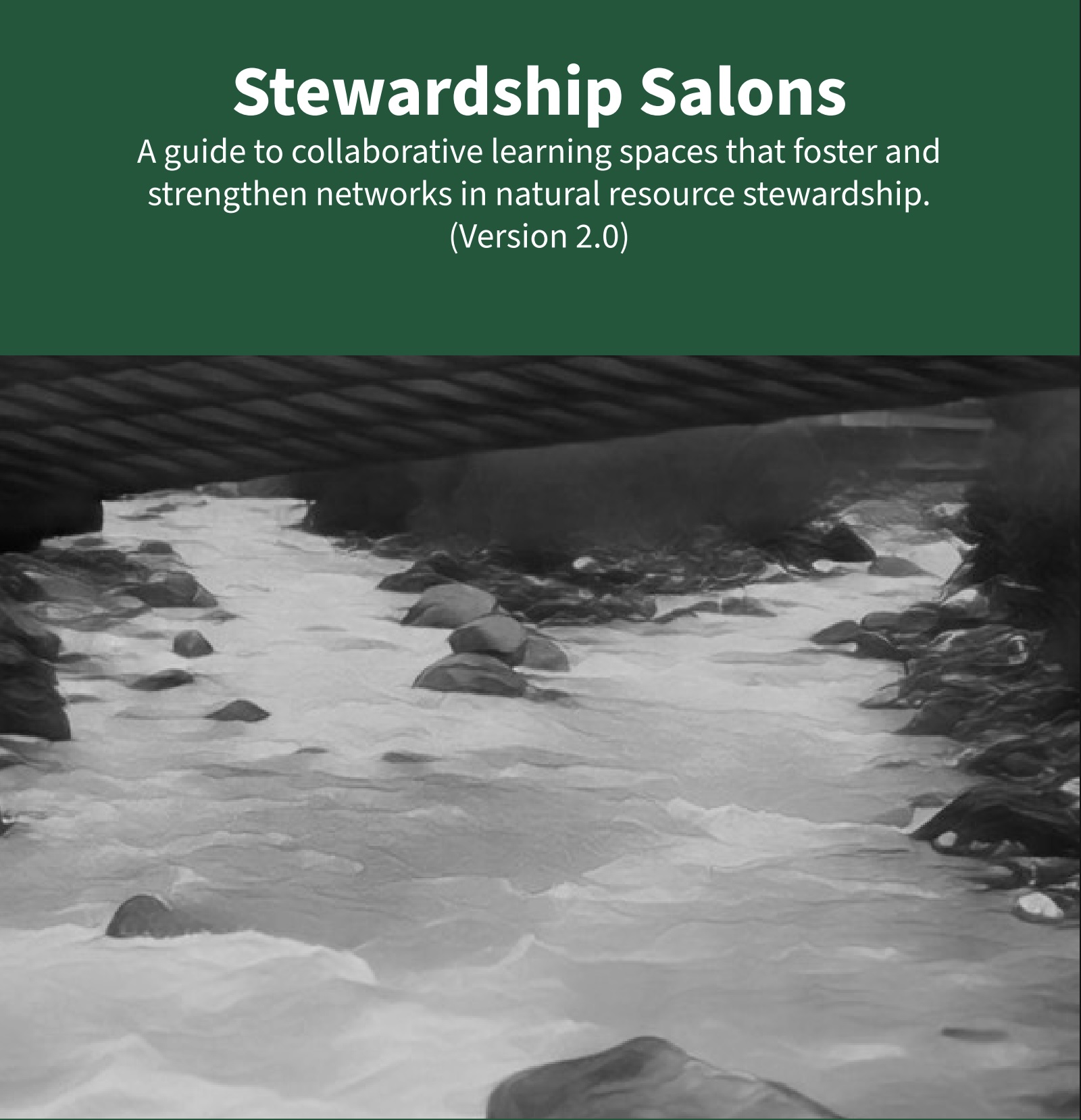 Stewardship Salons