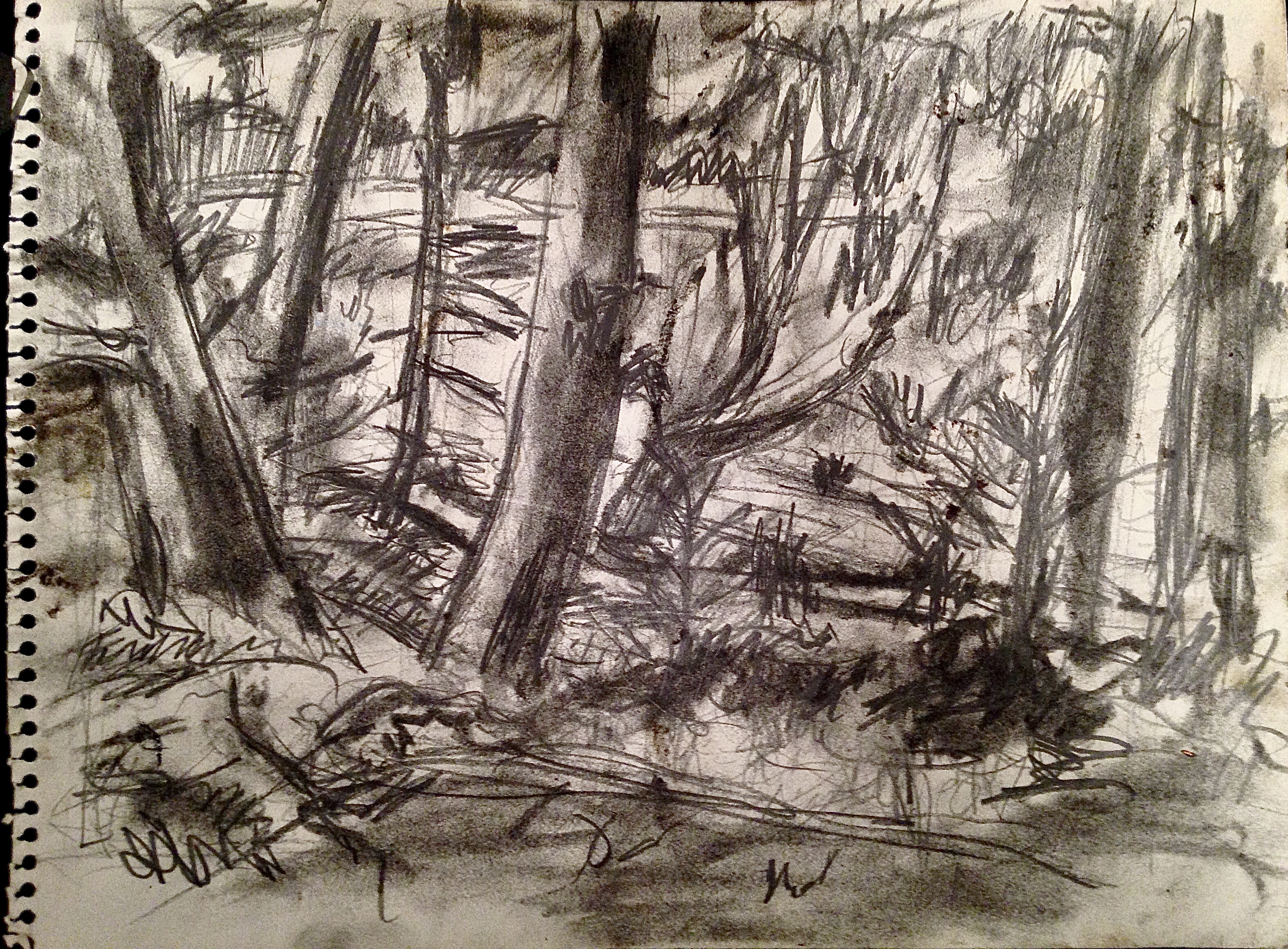 Study for Cornell Plantations