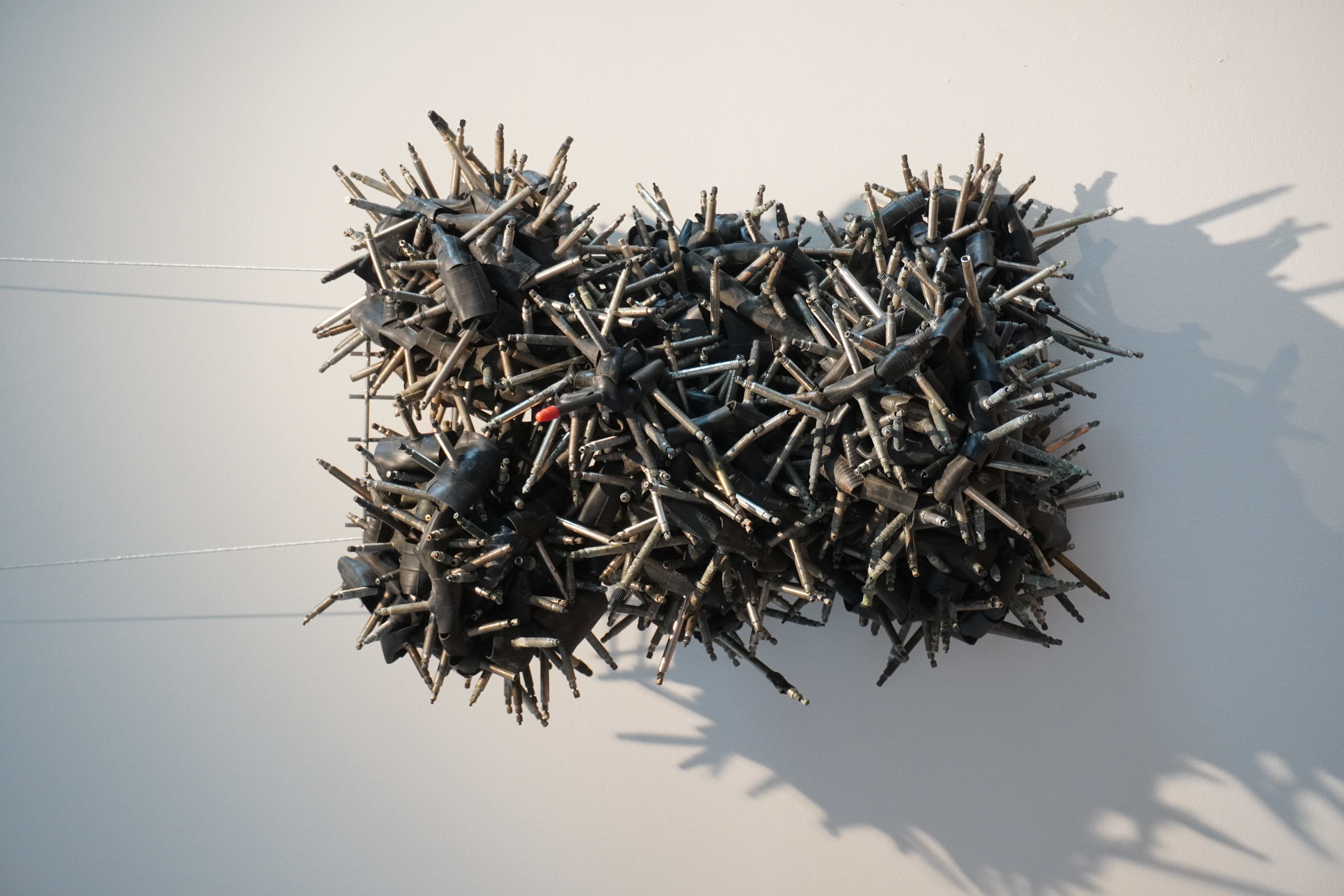 Urchins
