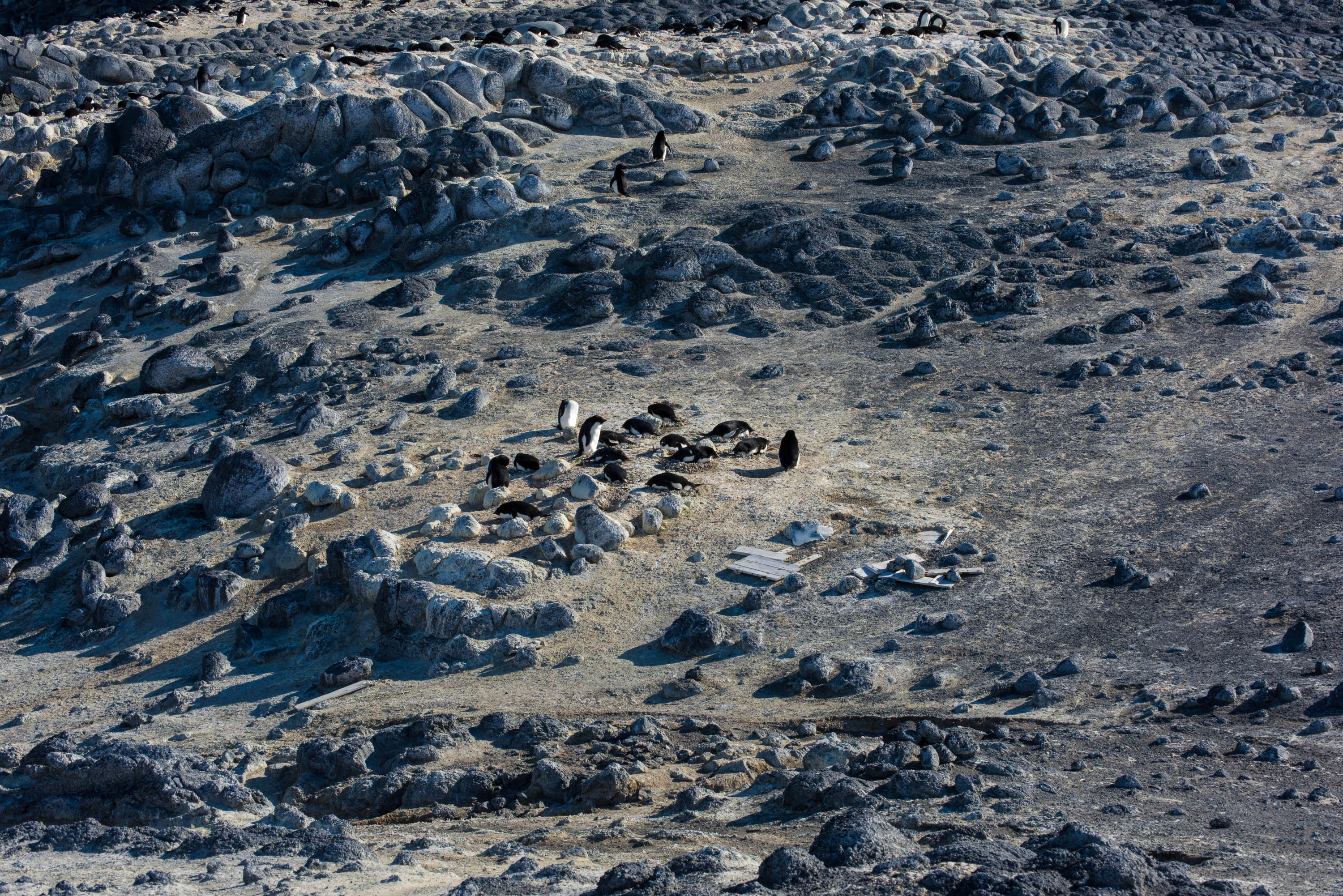 Walking in Antarctica