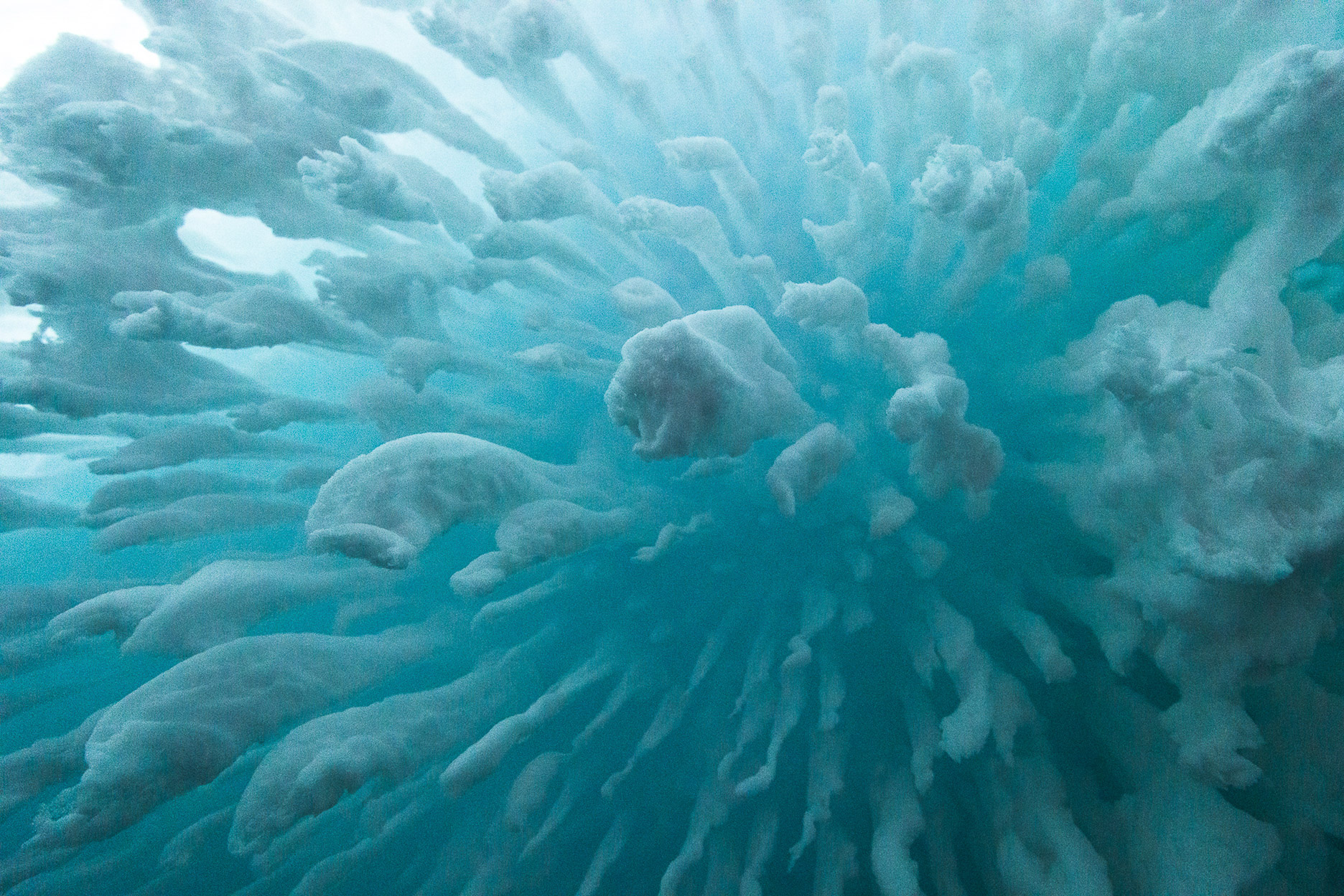 Walking in Antarctica